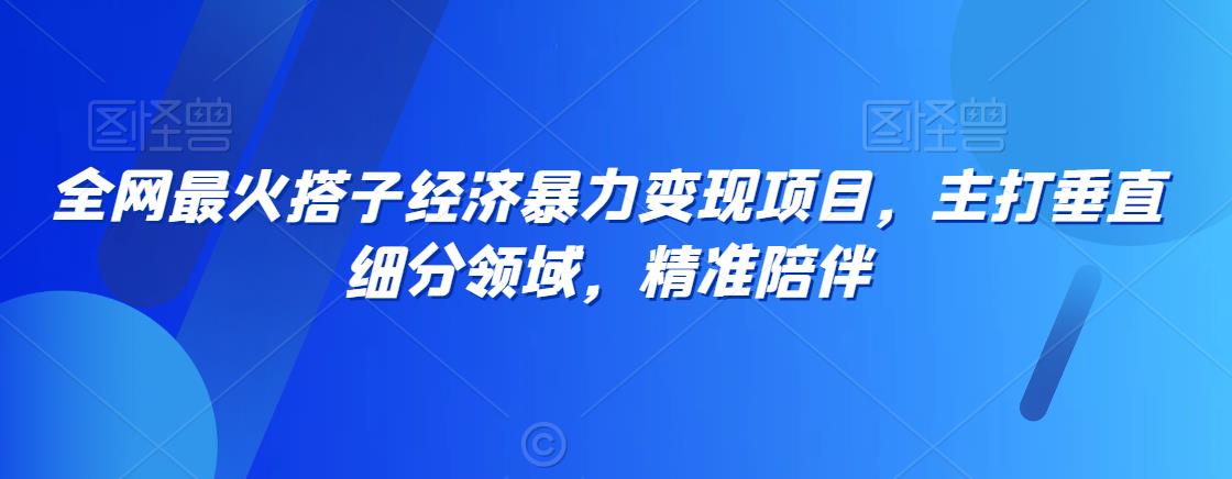 全网最火搭子经济暴力变现项目，主打垂直细分领域，精准陪伴【揭秘】-小柒笔记