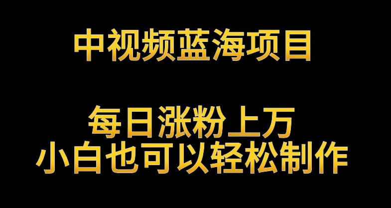 中视频蓝海项目，解读英雄人物生平，每日涨粉上万，小白也可以轻松制作，月入过万不是梦【揭秘】-小柒笔记