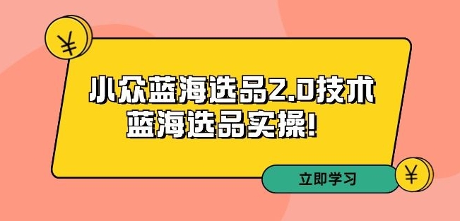 拼多多培训第33期：小众蓝海选品2.0技术-蓝海选品实操！-小柒笔记