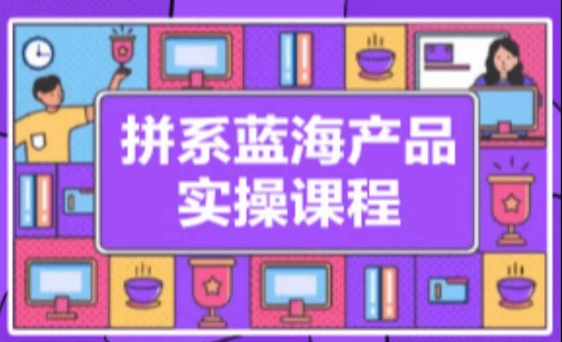 拼系冷门蓝海产品实操课程，从注册店铺到选品上架到流量维护环环相扣-小柒笔记