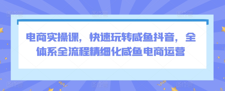 电商实操课，快速玩转咸鱼抖音，全体系全流程精细化咸鱼电商运营-小柒笔记