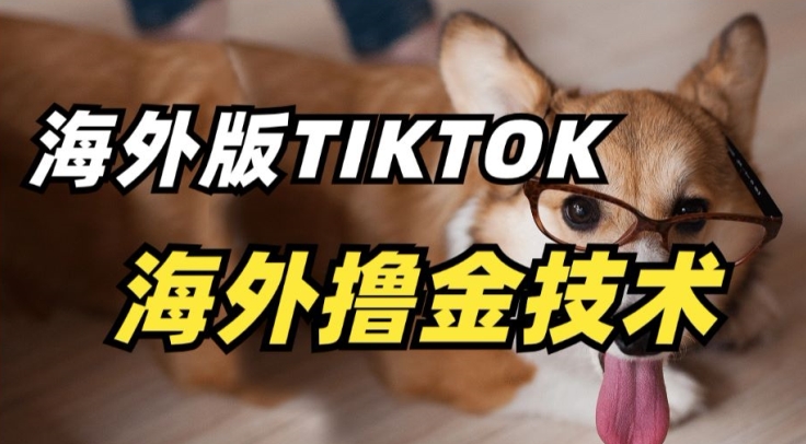 抖音海外版tiktok撸金技术，这个风口行业，赚钱真的不难【揭秘】-小柒笔记