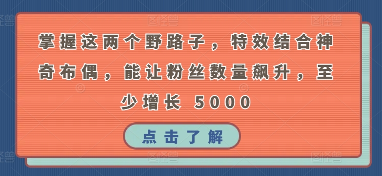 掌握这两个野路子，特效结合神奇布偶，能让粉丝数量飙升，至少增长 5000【揭秘】-小柒笔记