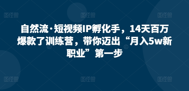 自然流·短视频IP孵化手，14天百万爆款了训练营，带你迈出“月入5w新职业”第一步-小柒笔记