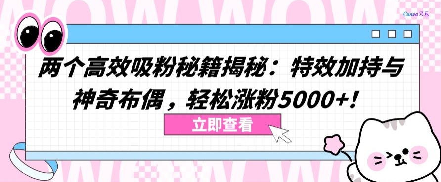 两个高效吸粉秘籍揭秘：特效加持与神奇布偶，轻松涨粉5000+【揭秘】-小柒笔记