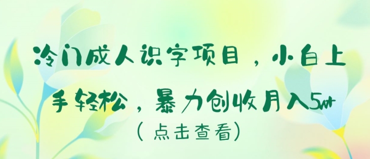 冷门成人识字项目，小白上手轻松，暴力创收月入5w+【揭秘】-小柒笔记