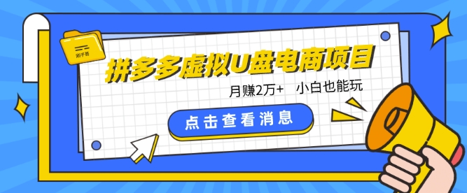 拼多多虚拟U盘电商红利项目：月赚2万+，新手小白也能玩-小柒笔记