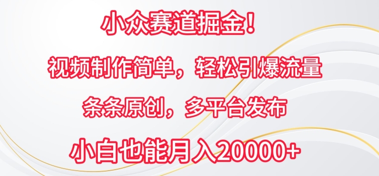 小众赛道掘金，视频制作简单，轻松引爆流量，条条原创，多平台发布【揭秘】-小柒笔记