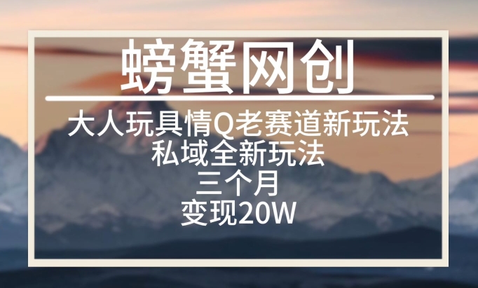 大人玩具情Q用品赛道私域全新玩法，三个月变现20W，老项目新思路【揭秘】-小柒笔记