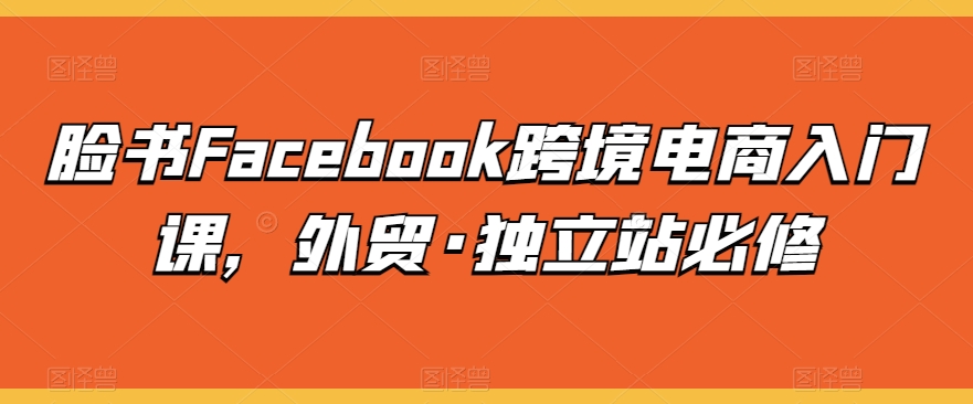 脸书Facebook跨境电商入门课，外贸·独立站必修-小柒笔记