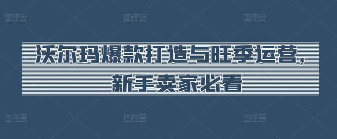 沃尔玛爆款打造与旺季运营，新手卖家必看-小柒笔记