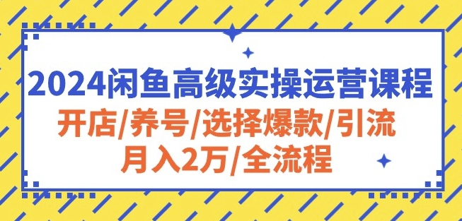 2024闲鱼高级实操运营课程：开店/养号/选择爆款/引流/月入2万/全流程-小柒笔记