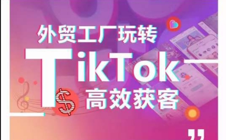 外贸工厂玩转TikTok高效获客，多种引流方式与账号定位技巧，拆解爆款短视频打造成功案例-小柒笔记