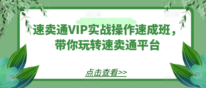 速卖通VIP实战操作速成班，带你玩转速卖通平台-小柒笔记