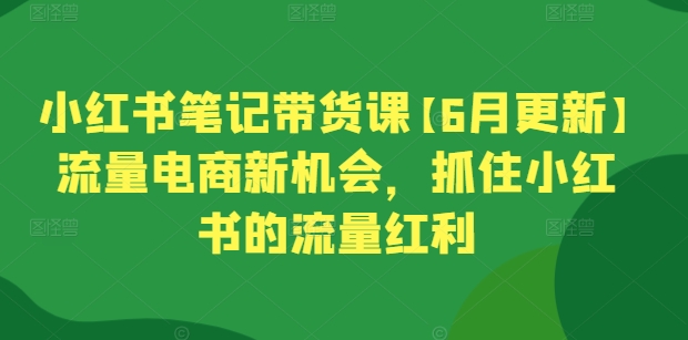 小红书笔记带货课【6月更新】流量电商新机会，抓住小红书的流量红利-小柒笔记