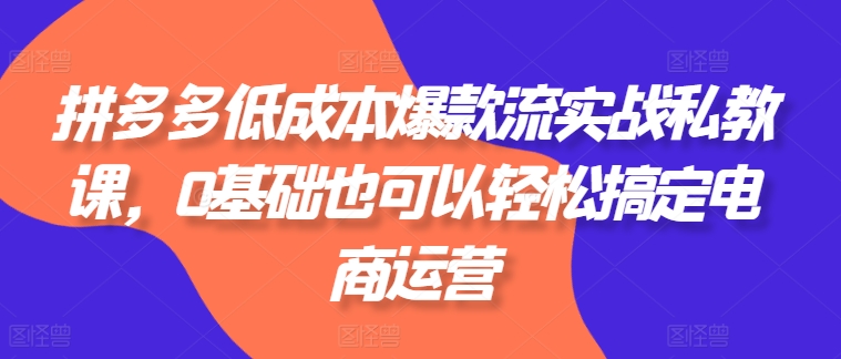 拼多多低成本爆款流实战私教课，0基础也可以轻松搞定电商运营-小柒笔记