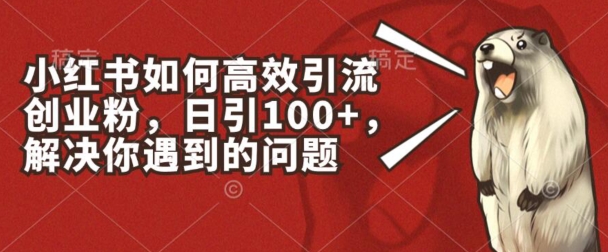 小红书如何高效引流创业粉，日引100+，解决你遇到的问题【揭秘】-小柒笔记