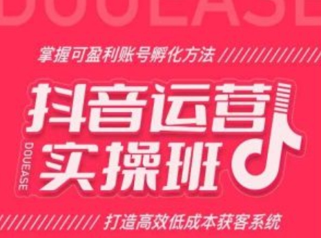 抖音运营实操班，掌握可盈利账号孵化方法，打造高效低成本获客系统-小柒笔记