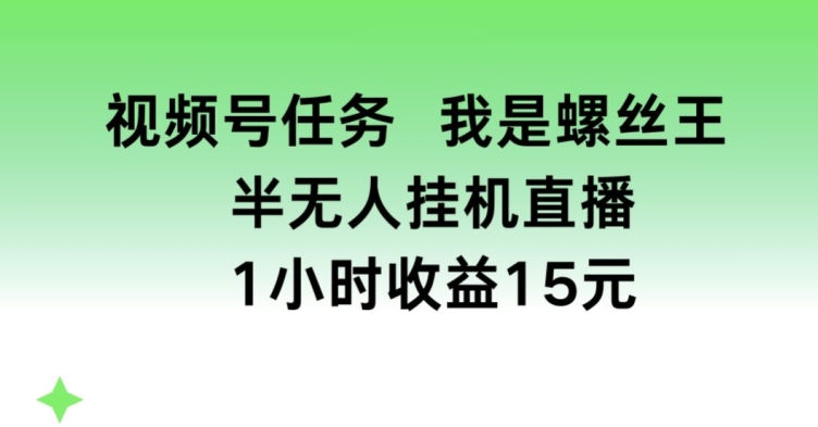 视频号任务，我是螺丝王， 半无人挂机1小时收益15元【揭秘】-小柒笔记