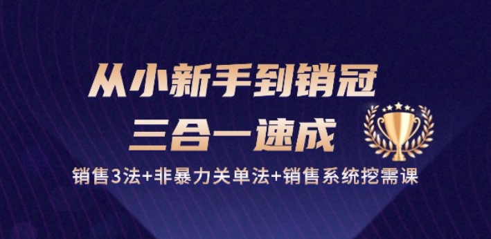 从小新手到销冠 三合一速成：销售3法+非暴力关单法+销售系统挖需课 (27节)-小柒笔记