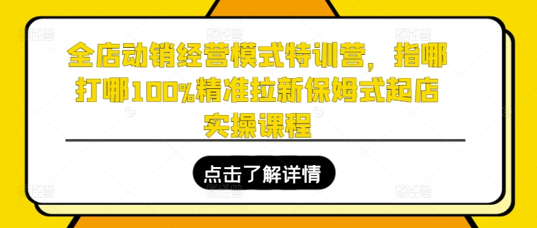 全店动销经营模式特训营，指哪打哪100%精准拉新保姆式起店实操课程-小柒笔记