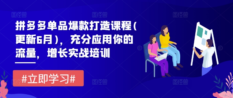 拼多多单品爆款打造课程(更新6月)，充分应用你的流量，增长实战培训-小柒笔记