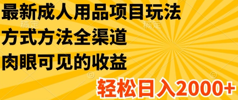 最新成人用品项目玩法，方式方法全渠道，轻松日入2K+【揭秘】-小柒笔记