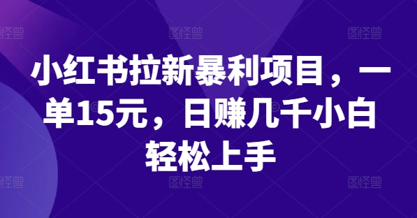 小红书拉新暴利项目，一单15元，日赚几千小白轻松上手【揭秘】-小柒笔记