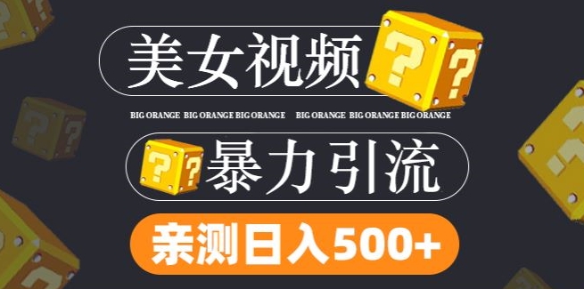 搬运tk美女视频全网分发，日引s粉300+，轻松变现，不限流量不封号【揭秘】-小柒笔记