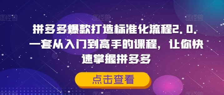 拼多多爆款打造标准化流程2.0，一套从入门到高手的课程，让你快速掌握拼多多-小柒笔记