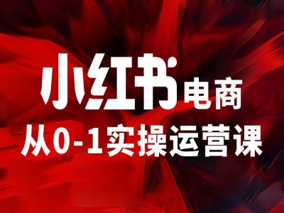 小红书电商从0-1实操运营课，让你从小白到精英-小柒笔记