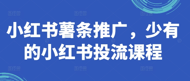 小红书薯条推广，少有的小红书投流课程-小柒笔记