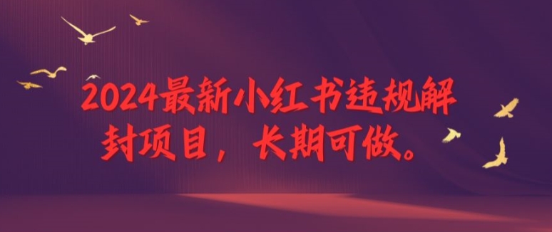 2024最新小红书违规解封项目，长期可做，一个可以做到退休的项目【揭秘】-小柒笔记