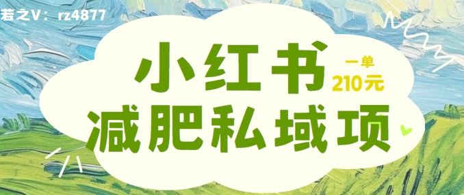 小红书减肥粉，私域变现项目，一单就达210元，小白也能轻松上手【揭秘】-小柒笔记