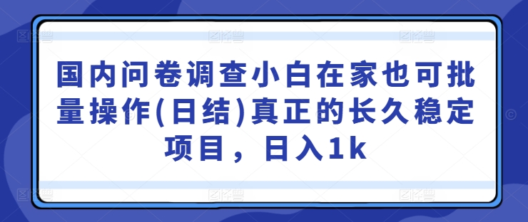 国内问卷调查小白在家也可批量操作(日结)真正的长久稳定项目，日入1k【揭秘】-小柒笔记