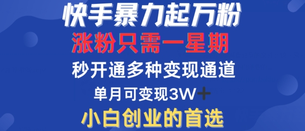 快手暴力起万粉，涨粉只需一星期，多种变现模式，直接秒开万合，单月变现过W【揭秘】-小柒笔记