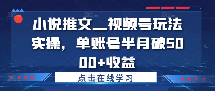 小说推文—视频号玩法实操，单账号半月破5000+收益-小柒笔记