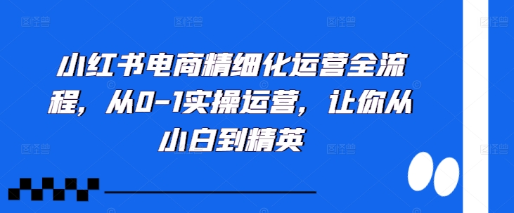 小红书电商精细化运营全流程，从0-1实操运营，让你从小白到精英-小柒笔记