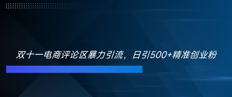 双十一电商评论区暴力引流，日引500+精准创业粉【揭秘】-小柒笔记