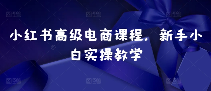 小红书高级电商课程，新手小白实操教学-小柒笔记