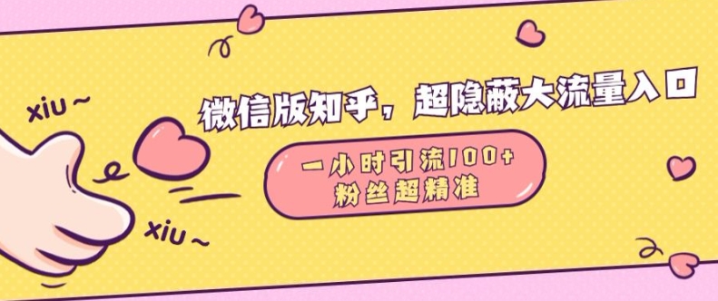 微信版知乎，超隐蔽流量入口1小时引流100人，粉丝质量超高【揭秘】-小柒笔记