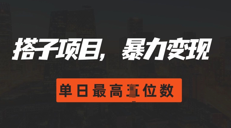 2024搭子玩法，0门槛，暴力变现，单日最高破四位数【揭秘】-小柒笔记