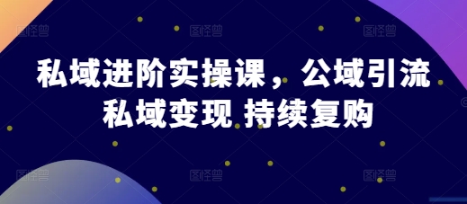 私域进阶实操课，公域引流 私域变现 持续复购-小柒笔记