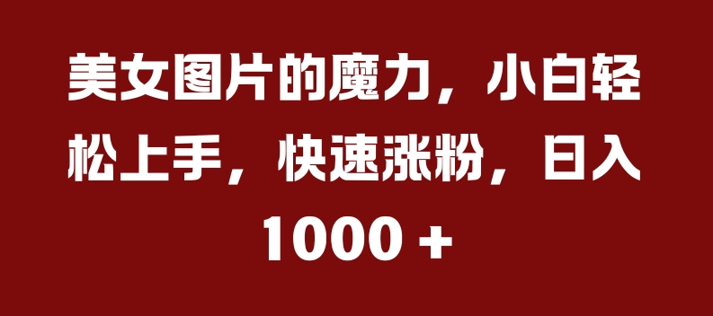 美女图片的魔力，小白轻松上手，快速涨粉，日入几张【揭秘】-小柒笔记