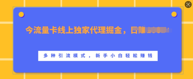 流量卡线上独家代理掘金，日入1k+ ，多种引流模式，新手小白轻松上手【揭秘】-小柒笔记