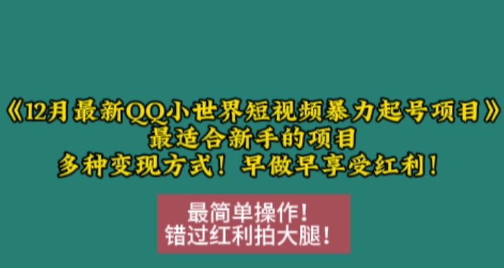 12月最新QQ小世界短视频暴力起号项目，最适合新手的项目，多种变现方式-小柒笔记