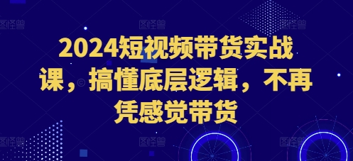 2024短视频带货实战课，搞懂底层逻辑，不再凭感觉带货-小柒笔记