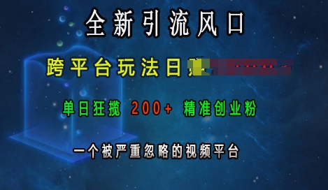 全新引流风口，跨平台玩法日入上k，单日狂揽200+精准创业粉，一个被严重忽略的视频平台-小柒笔记