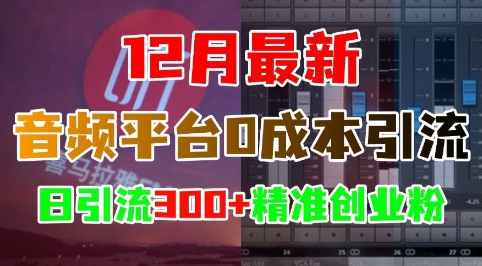 12月最新：音频平台0成本引流，日引流300+精准创业粉-小柒笔记