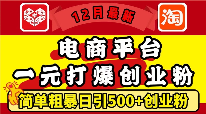 12月最新：电商平台1元打爆创业粉，简单粗暴日引500+精准创业粉，轻松月入过W【揭秘】-小柒笔记